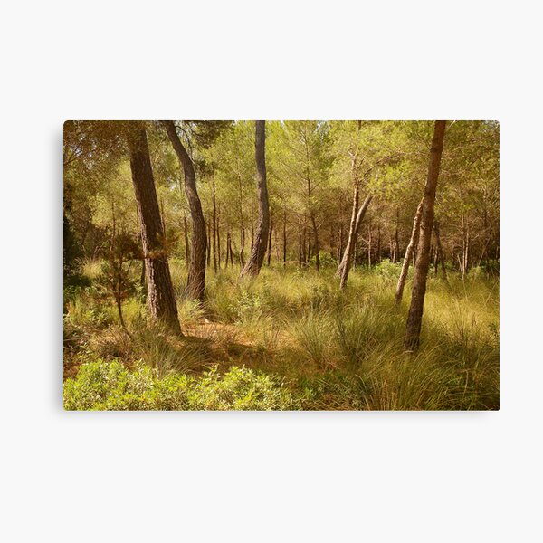 Item preview, Menorcan Coast Path designed and sold by Mike  Waldron.