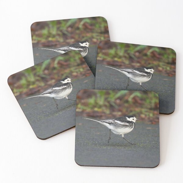 Item preview, Run wagtail, run! designed and sold by GreyFeatherPhot.