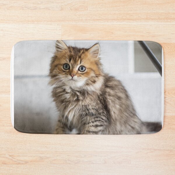 Item preview, Cute Kitty Wants Some Love! designed and sold by Tim Thompson.