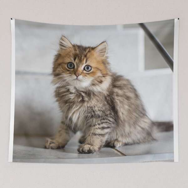 Item preview, Cute Kitty Wants Some Love! designed and sold by Tim Thompson.