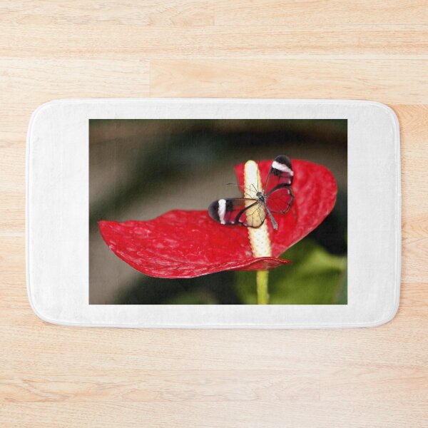 Item preview, Glasswing on Lily designed and sold by AnnDixon.