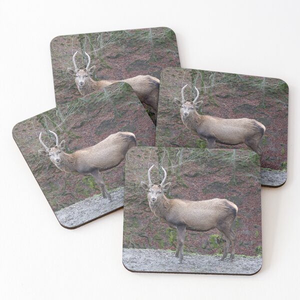 Item preview, An Encounter designed and sold by Alexandra Lavizzari.