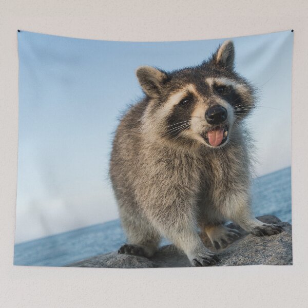 Artikelvorschau, Es ist Fridaaaaaay! entworfen und verkauft von Jay Madden photographer.