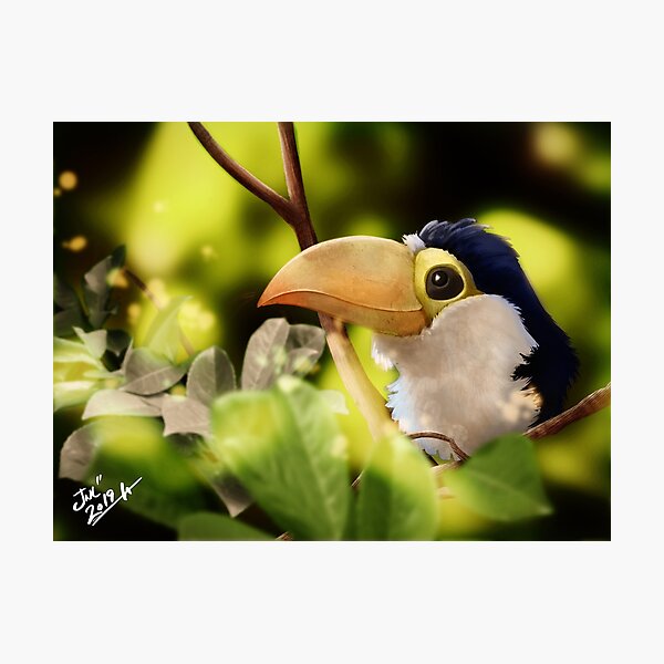 Baby Tucan In Nature Photographic Print By Juanjimenez Redbubble