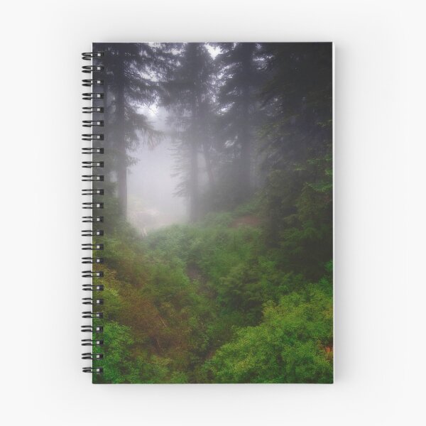 Item preview, Light in the forest designed and sold by dombhai.