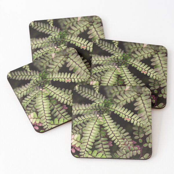 Item preview, Equatorial plants designed and sold by VBMatossy.