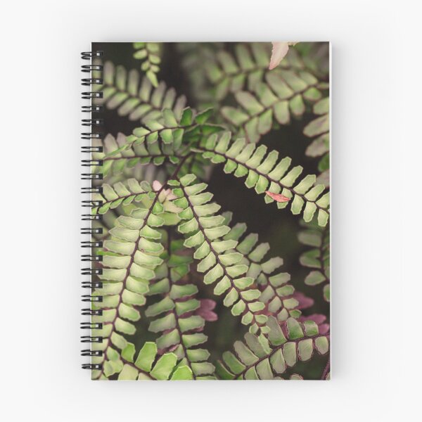 Item preview, Equatorial plants designed and sold by VBMatossy.