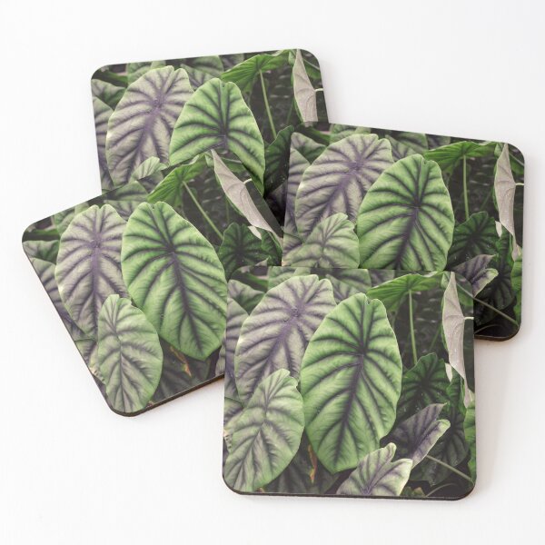 Item preview, Hojas, plantas tropicales designed and sold by VBMatossy.