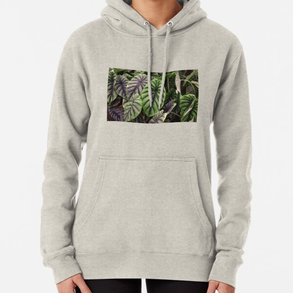 Leaves, tropical plants Pullover Hoodie