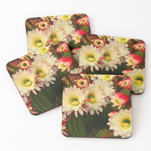 Item preview, Cactus Floribunda designed and sold by jjohnsueb.