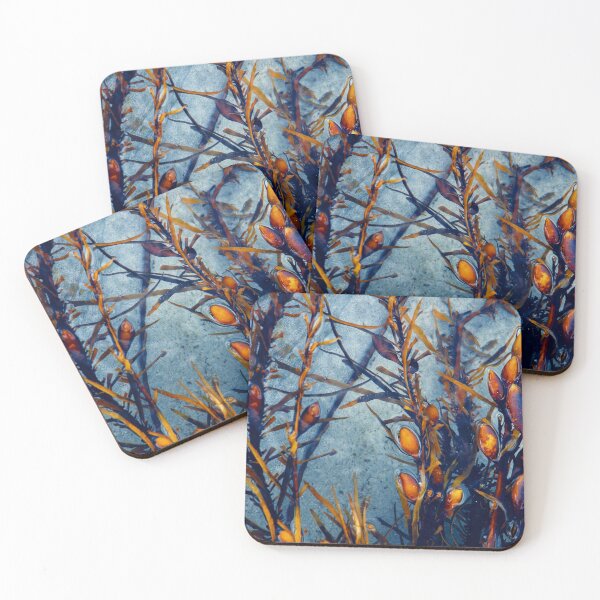 Item preview, Algas de natación ..... Costa noroeste de Tasmania designed and sold by Imi Koetz.