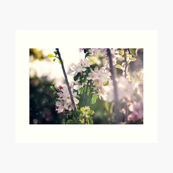 Item preview, Wild Apple Blossoms designed and sold by drxgonfly.