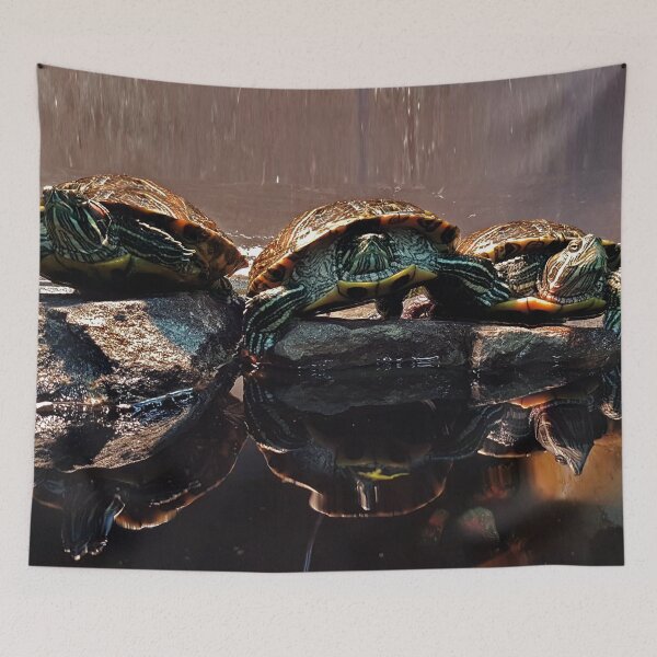 Item preview, Red Eared Slider Basking Trio designed and sold by callieb2k.