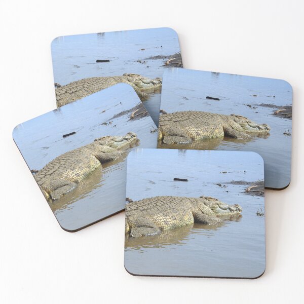 Item preview, African Nile Crocodile, Wildlife, Ethiopia, Africa designed and sold by worldways.
