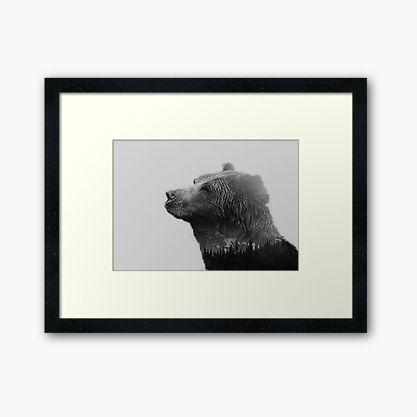 Canadian bear Framed Art Print