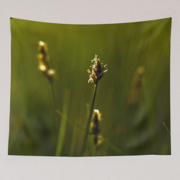 Item preview, Some open fields designed and sold by dombhai.