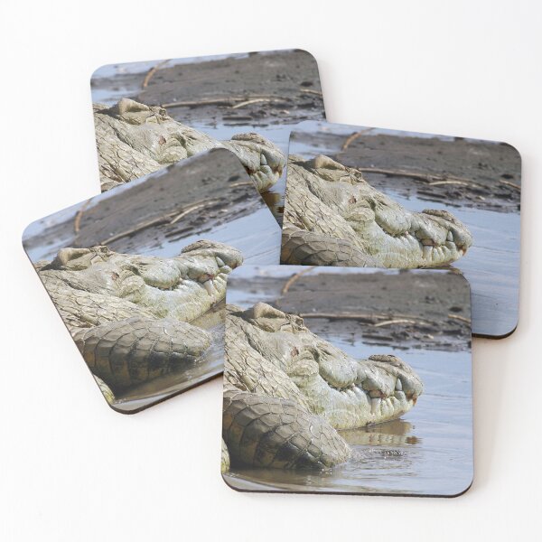Item preview, African Nile Crocodile Face, Wildlife, Ethiopia, Africa designed and sold by worldways.