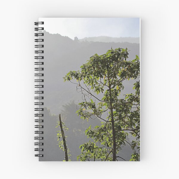 Item preview, La Savegre Cloud Forest designed and sold by Carole-Anne.