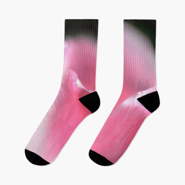 Item preview, Under the Tulip's Shadow designed and sold by dombhai.