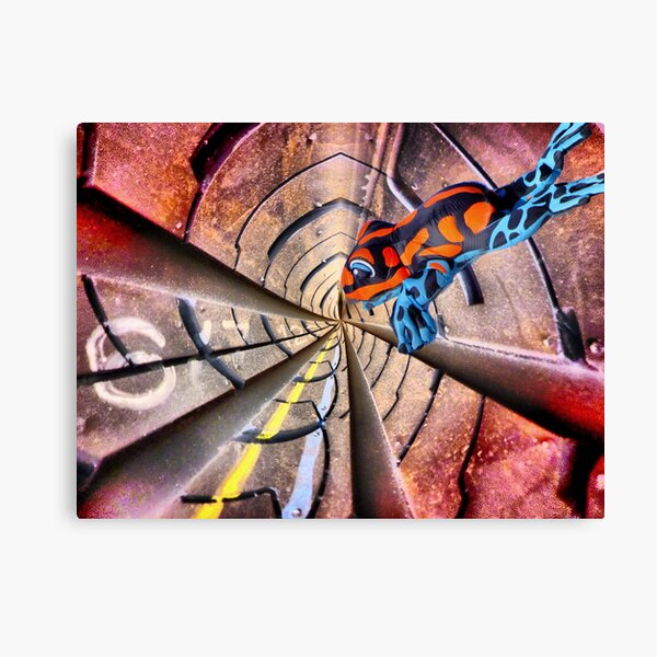 frog 3 Canvas Print