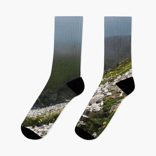Item preview, Cape St Mary's Bird Ecological Reserve - 2 designed and sold by dombhai.