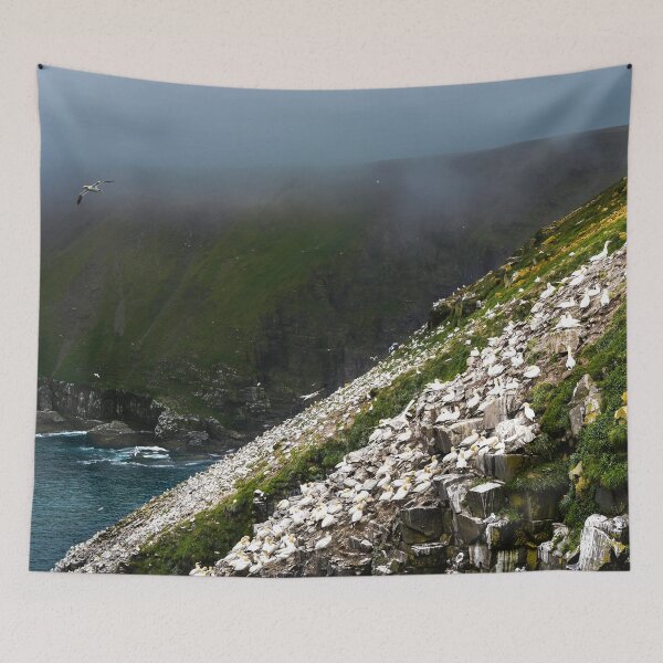 Item preview, Cape St Mary's Bird Ecological Reserve - 2 designed and sold by dombhai.