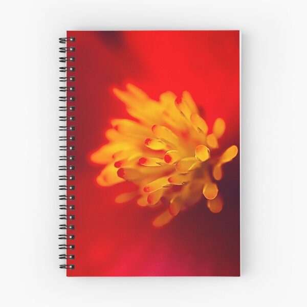 Item preview, A Burst of Red - Begonia designed and sold by Yannik Hay.