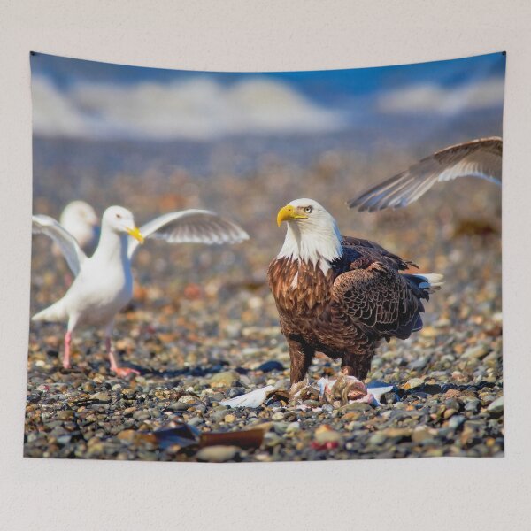 Item preview, 2Bald Eagle in Alaska  designed and sold by dombhai.
