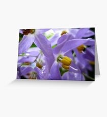 purplelove Greeting Card