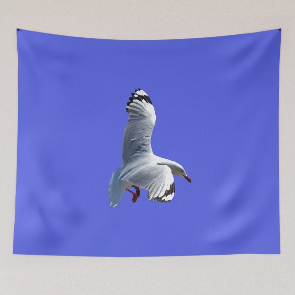Item preview, Seagull Coming In To Land designed and sold by Jason Gilbert.