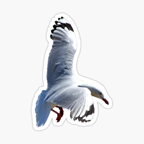 Aperçu de l'œuvre Mouette venant sur terre créée et vendue par Jason Gilbert.