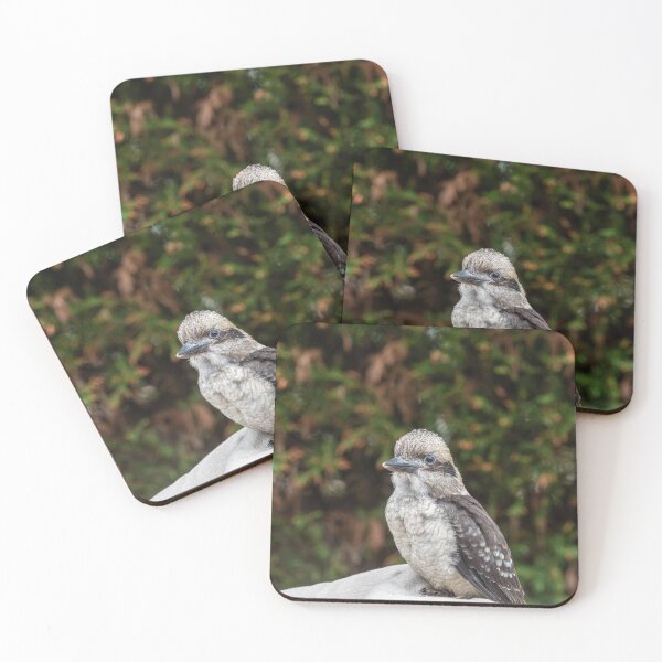 Item preview, baby kookaburra designed and sold by justine Gordon.