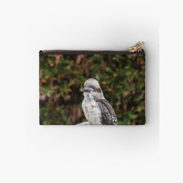 Item preview, baby kookaburra designed and sold by justine Gordon.
