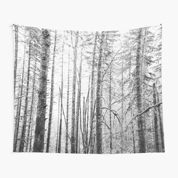 Custom Photo Tapestry, Decorate Your Wall