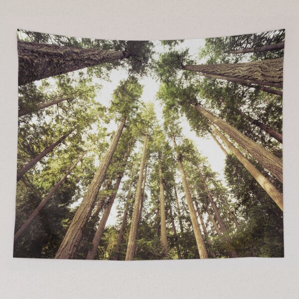 Item preview, Forest Sky - The Canopy designed and sold by artcascadia.