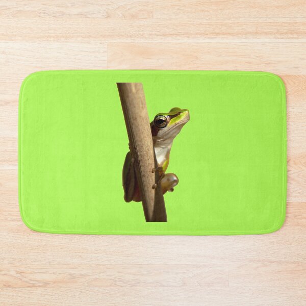 Item preview, Slender Tree Frog Frog Frogs designed and sold by Jason Gilbert.