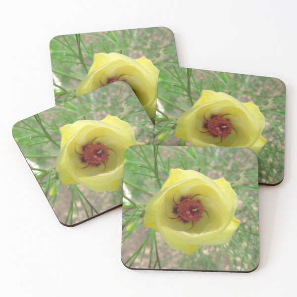 Item preview, Australian Native Alyogne huegelii Macro.  designed and sold by RitaBlom.