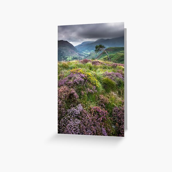 Snowdonia - Heather & Gorse above Beddgelert Greeting Card
