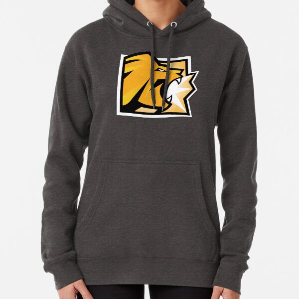 R6 - LION Pullover Hoodie