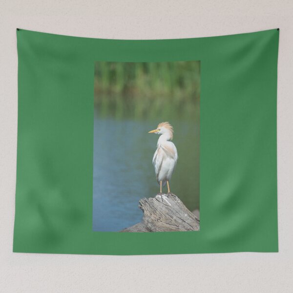 Item preview, Cattle Egret. designed and sold by Jurie Maree.