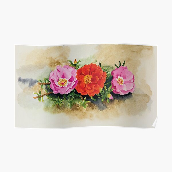 Moss Roses Poster