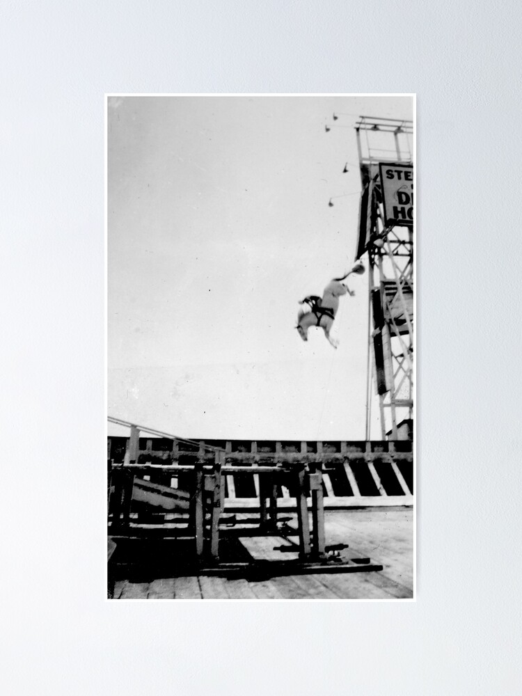 "Steel Pier New Jersey Diving Horse Performance By Jonathan Green" Poster by HarryG96 Redbubble
