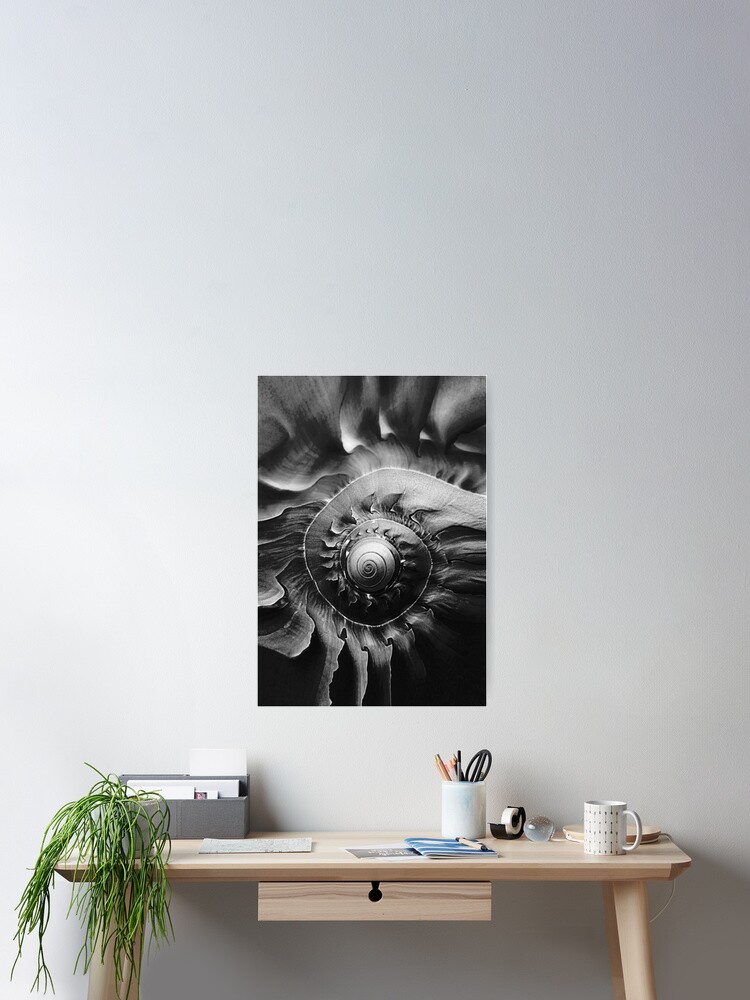 Thumbnail 2 of 3, Poster, Melon Shell In Mono designed and sold by SexyEyes69.