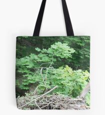 200mm lens Tote Bag
