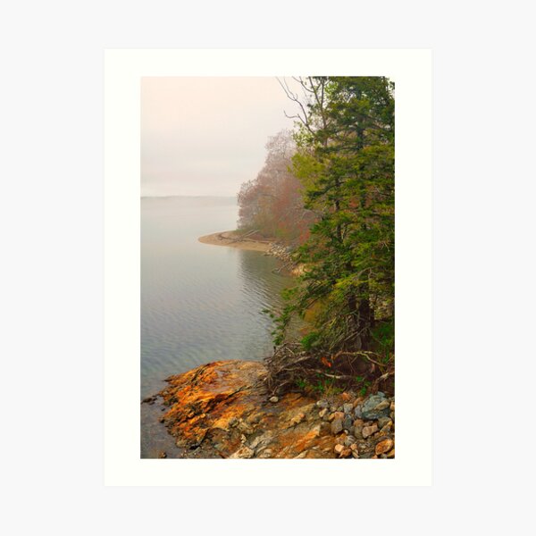 Coastline in Fog, Blue Hill Peninsula, Maine Art Print