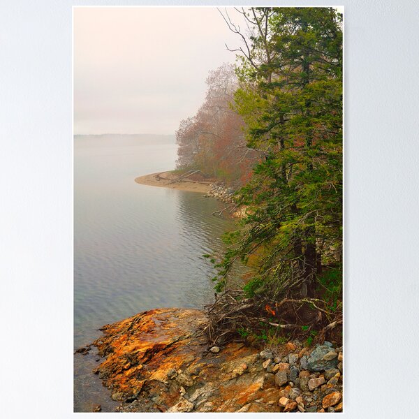Item preview, Coastline in Fog, Blue Hill Peninsula, Maine designed and sold by fauselr.