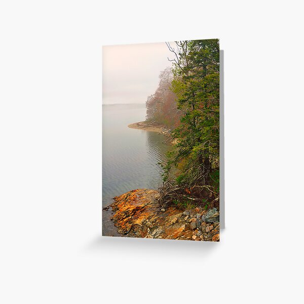 Coastline in Fog, Blue Hill Peninsula, Maine Greeting Card