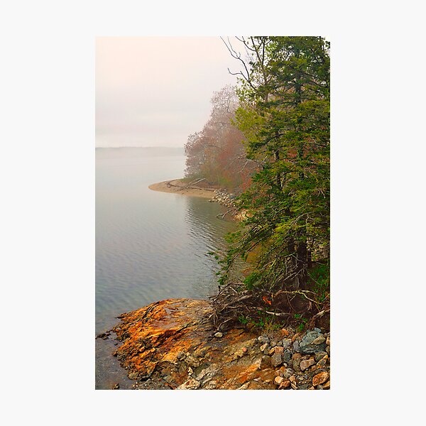Item preview, Coastline in Fog, Blue Hill Peninsula, Maine designed and sold by fauselr.