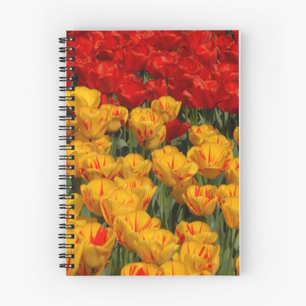 Item preview, Mass of spring colour - Tulips in London designed and sold by chriso.