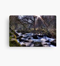 Enchanting Canvas Print